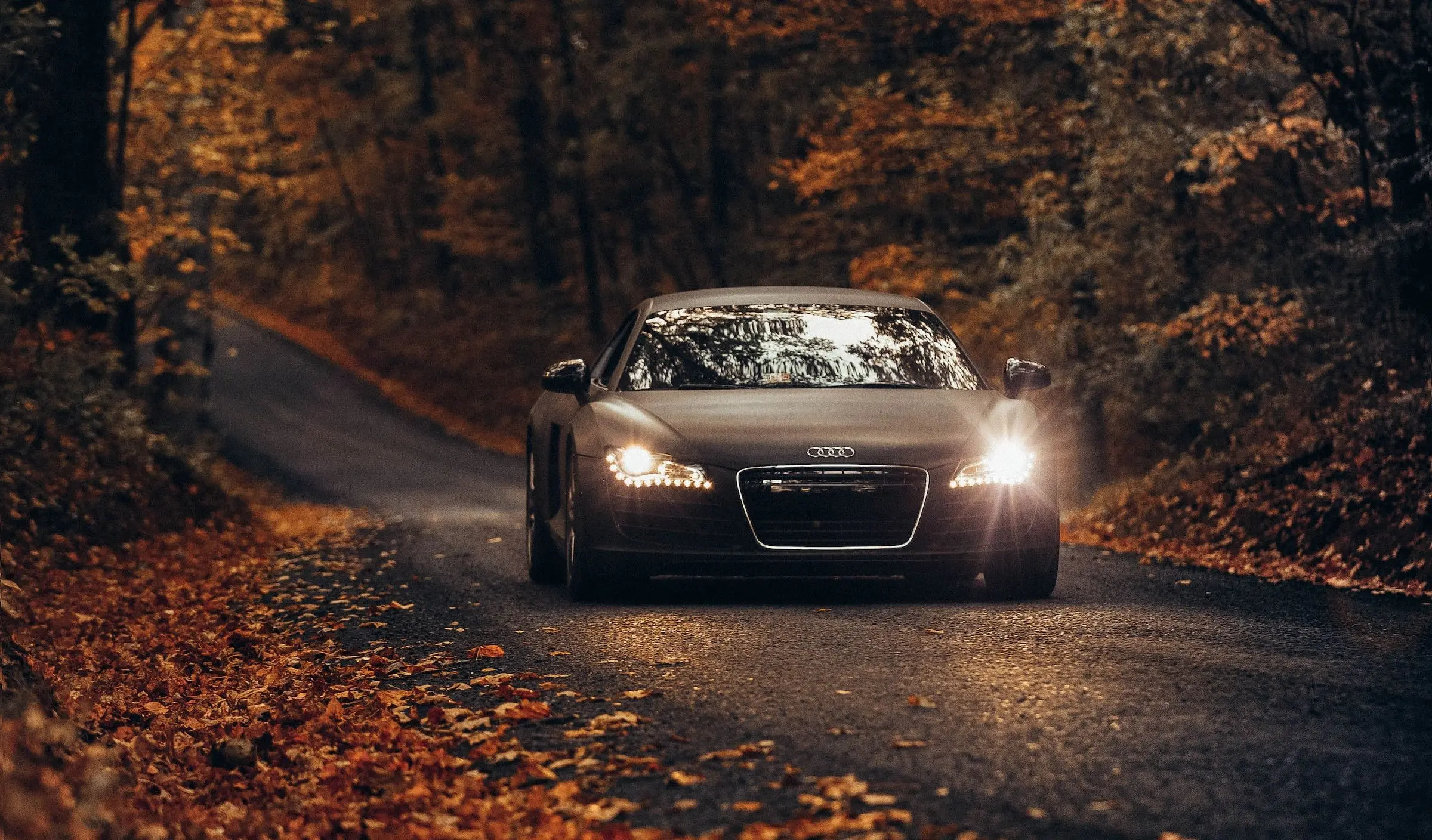 modern car audi on road in autumn leaves